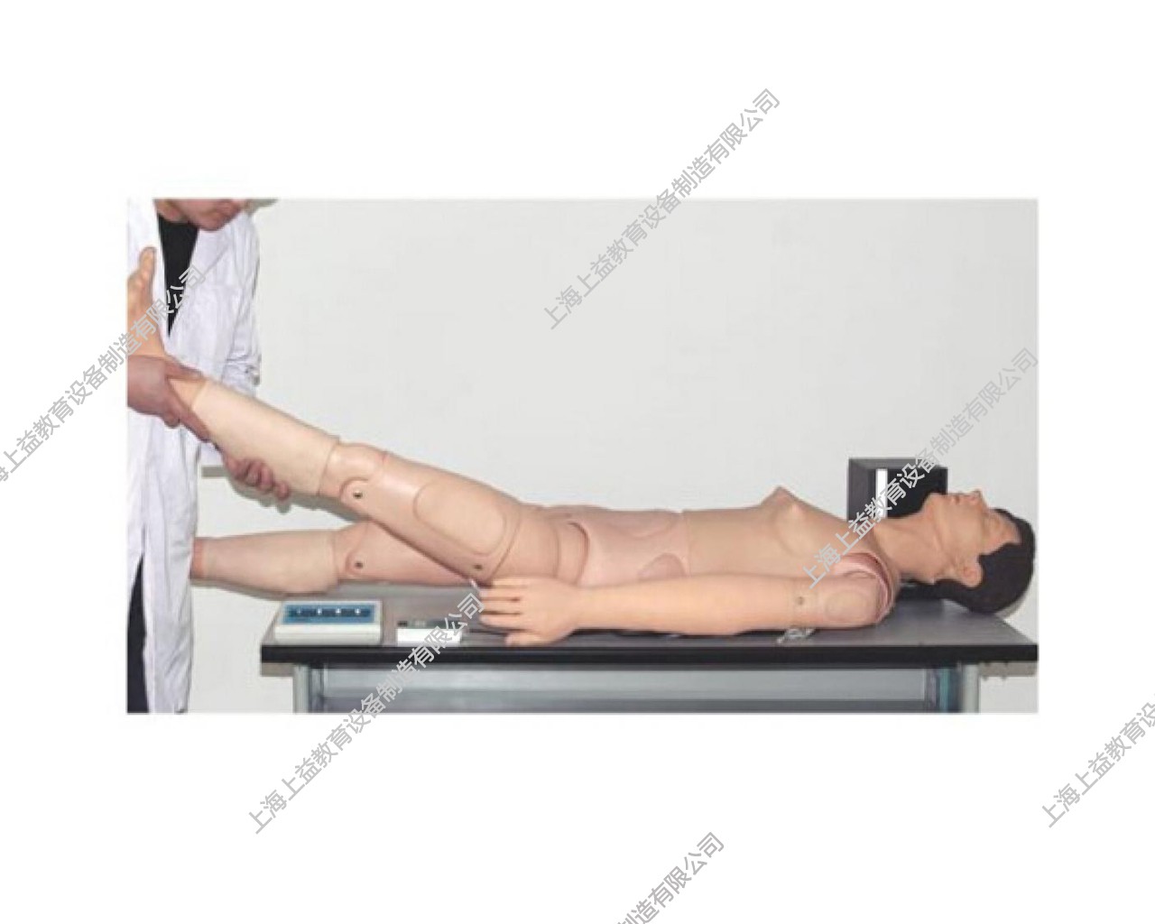 SG7139	椎间盘突出症检查训练仿真电子标准化病人