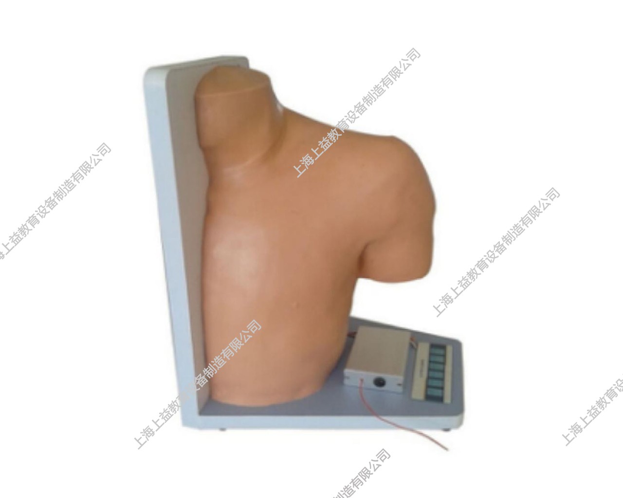 SG7101	高级电子肩关节腔内注射模型