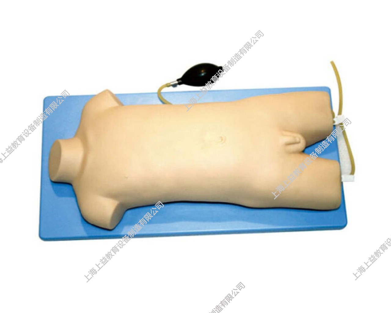 IM8133	儿童股静脉与股动脉穿刺训练模型