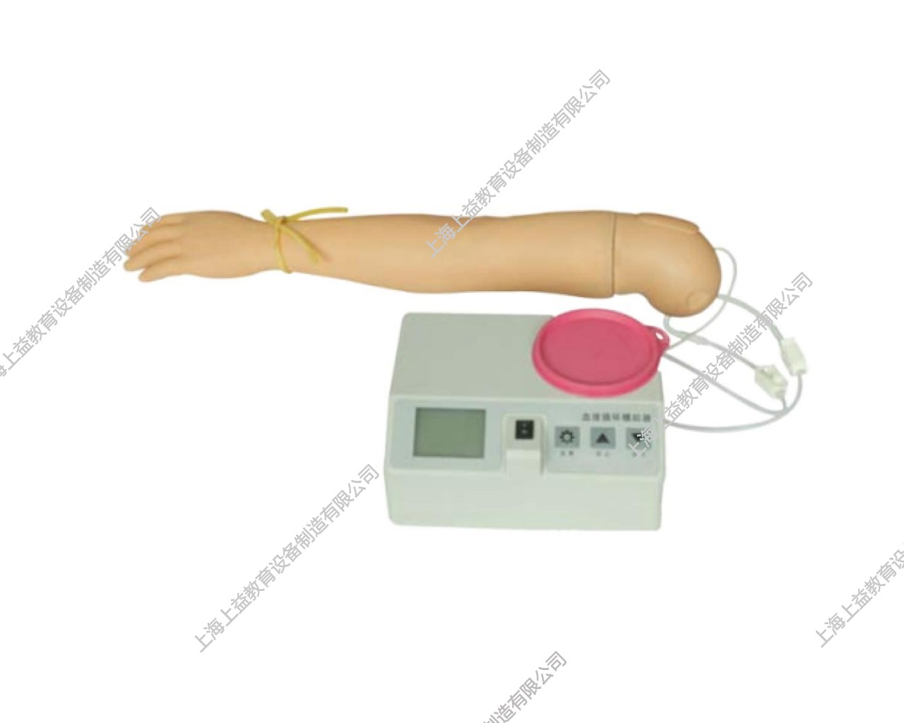 NM2262	高仿真静脉注射操作手臂模型