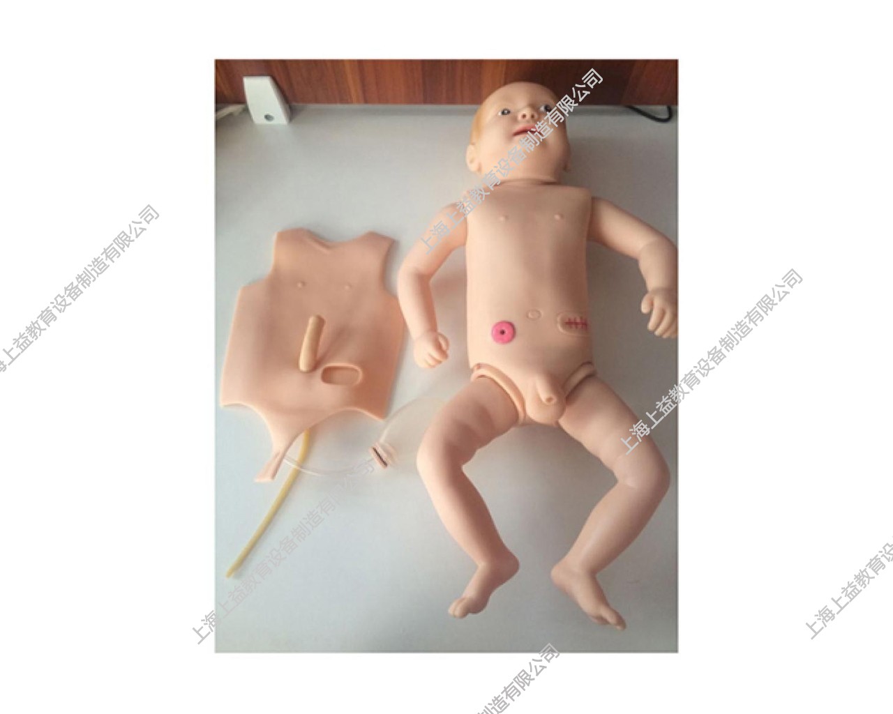 PD5144 高级婴儿护理人模型