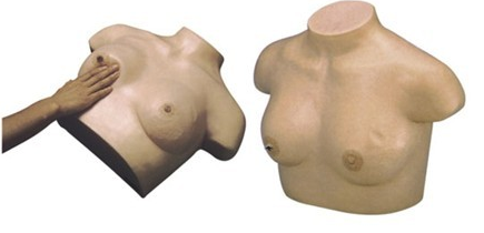高仿真乳腺视诊与触诊训练模型（带电子监测）