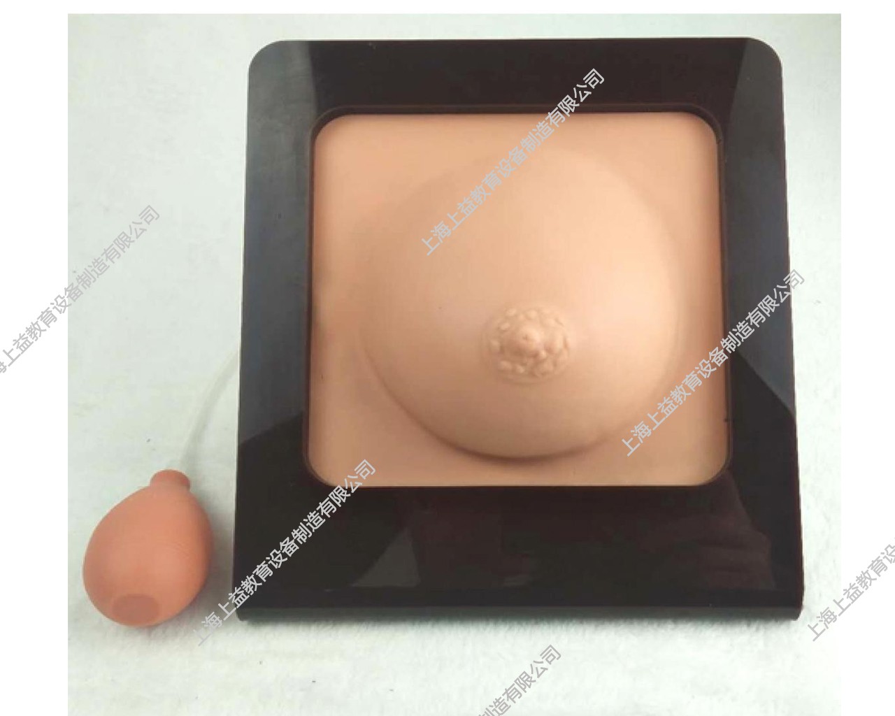 SG7153	乳房检查模型
