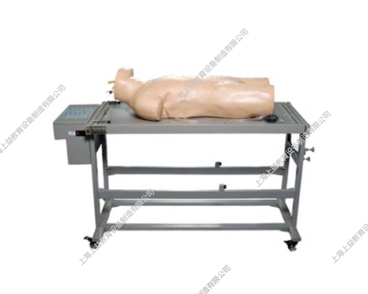 IM8103	高级综合穿刺术与叩诊检查技能训练模拟人