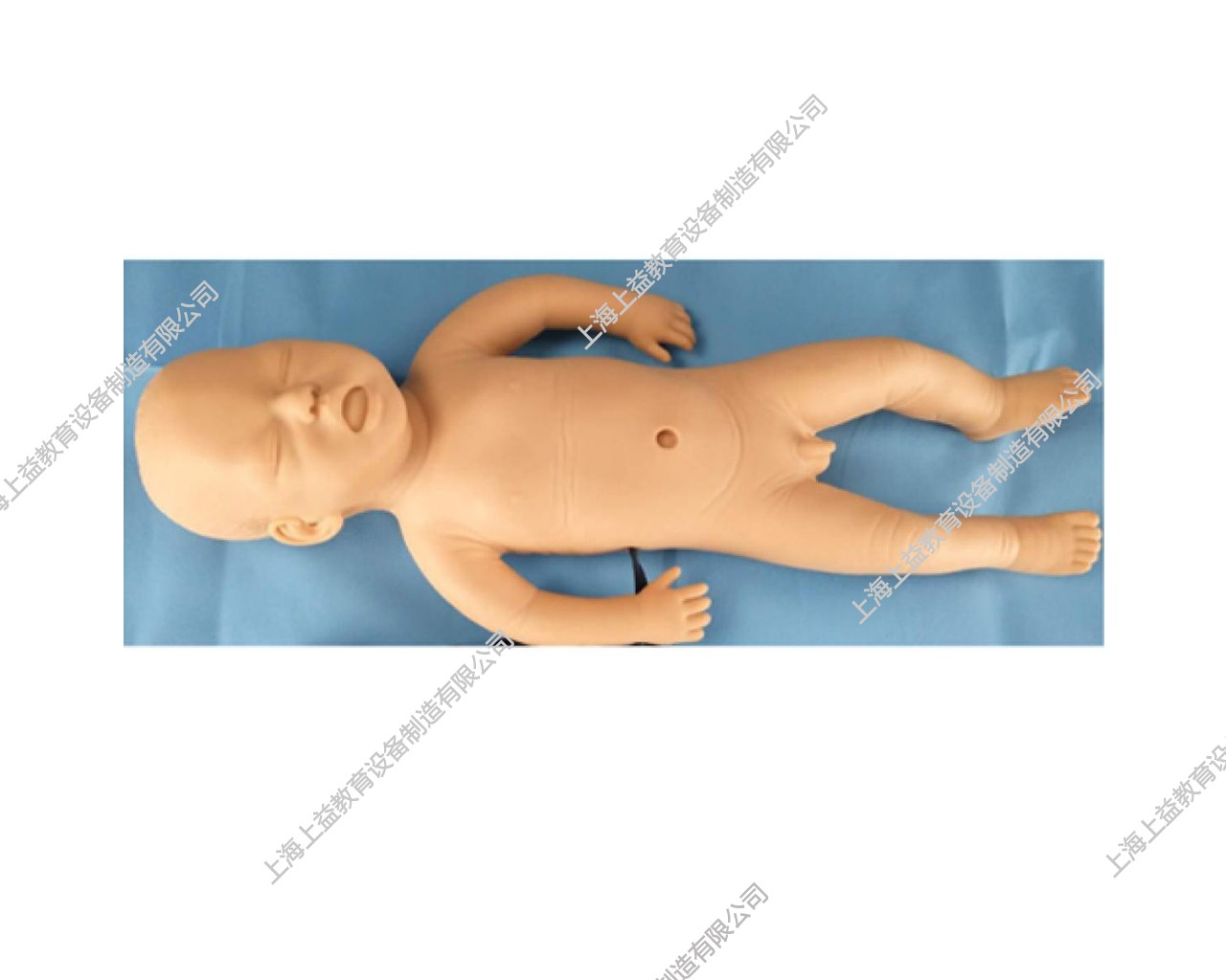 PD5138 高级幼儿胃灌洗仿真模型