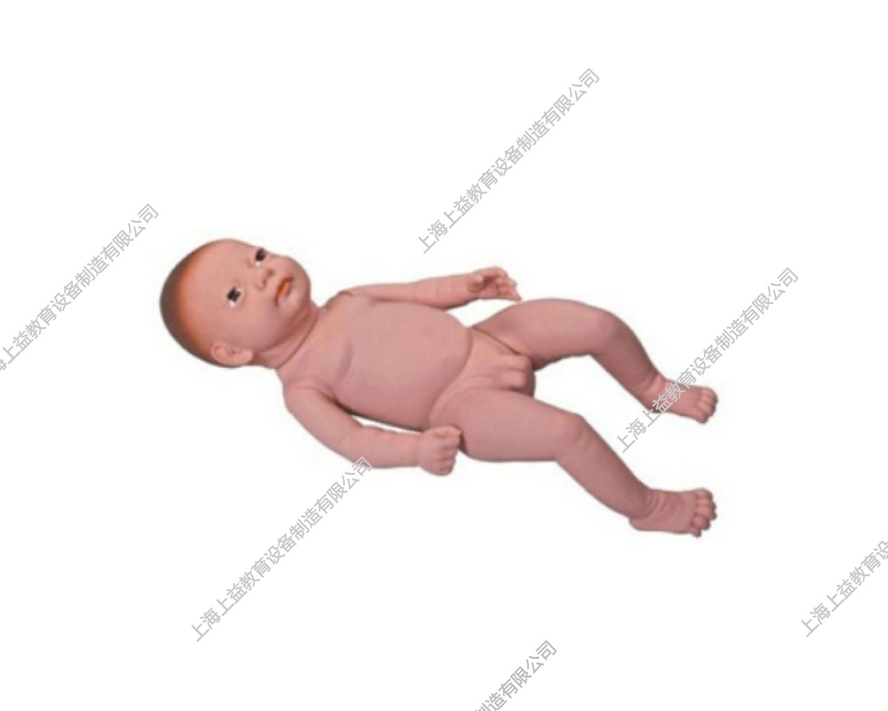 PD5105 高级出生婴儿附脐带模型(男婴、女婴任选)
